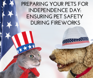 Preparing Your Pets for Independence Day Ensuring Pet Safety During Fireworks
