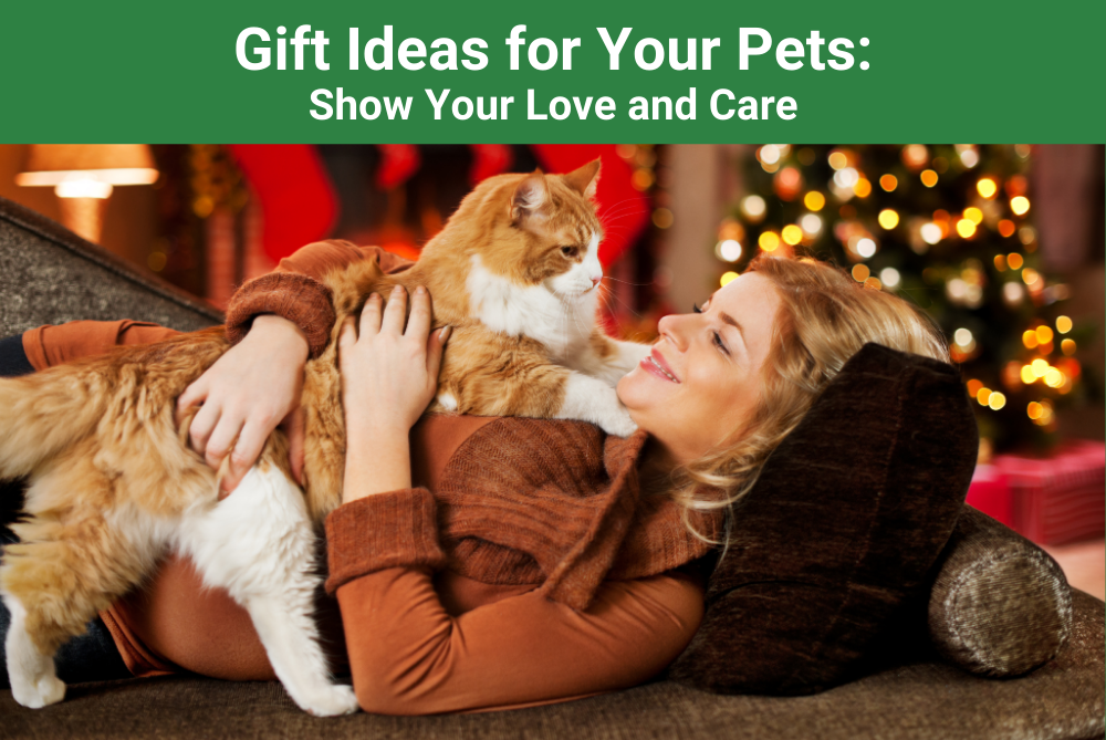 Gift Ideas for Your Pets: Show Your Love and Care